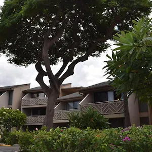 kihei-holiday-116.hotelsinhawaii.org/